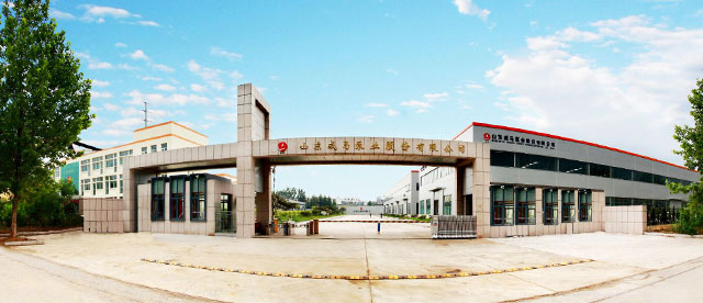 走進威馬 移(yi)動端