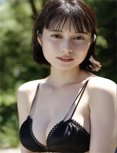 甄海保卫战