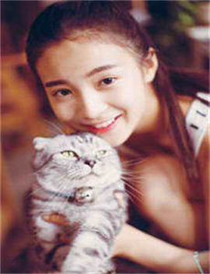 金刚 电影 2006