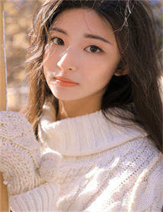 电视剧贤妻全集